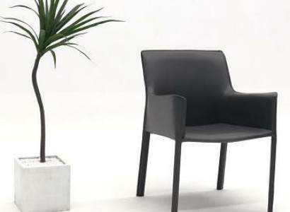 Design Lehn Chairs Upholstery Dining Room Club Kitchen Lounge Living Furniture Chair Armchair